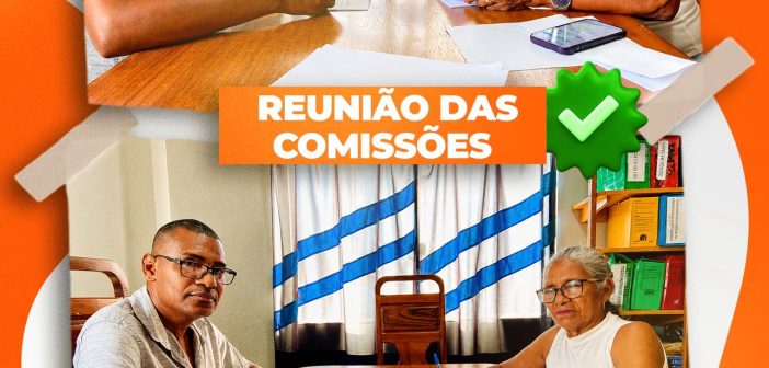 REUNIÃO DAS COMISSÕES