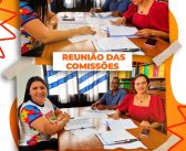 Comissões de Constituição, Justiça e Redação, e de Finanças e Tributação da Câmara Municipal de Senador José Porfírio, para apreciação e deliberação de matérias de interesse do município, reforçando o compromisso do Poder Legislativo com a responsabilidade e a transparência nos trabalhos parlamentares.