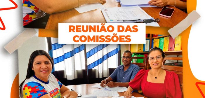 Comissões de Constituição, Justiça e Redação, e de Finanças e Tributação da Câmara Municipal de Senador José Porfírio, para apreciação e deliberação de matérias de interesse do município, reforçando o compromisso do Poder Legislativo com a responsabilidade e a transparência nos trabalhos parlamentares.