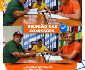 REUNIÃO DAS COMISSÕES