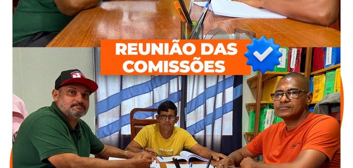 REUNIÃO DAS COMISSÕES